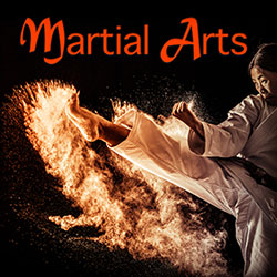 Martial Arts & Human Impact Sound Effects